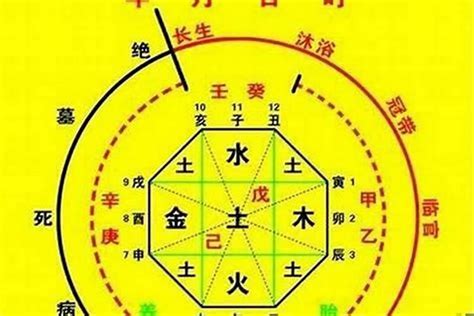 火土傷官|八字十神之傷官